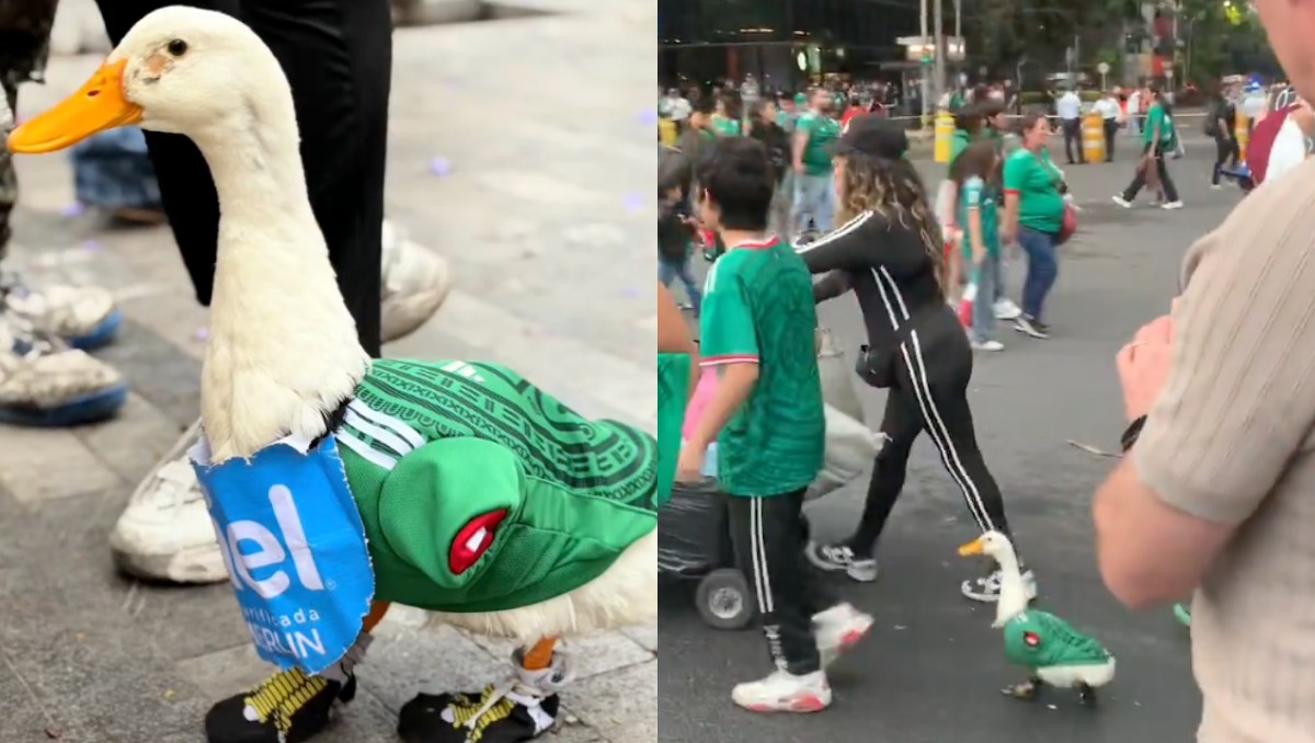 El pato 'Merlín' se vuelve viral al usar tenis y playera de la Selección Mexicana (Foto: X MR_Civico)
