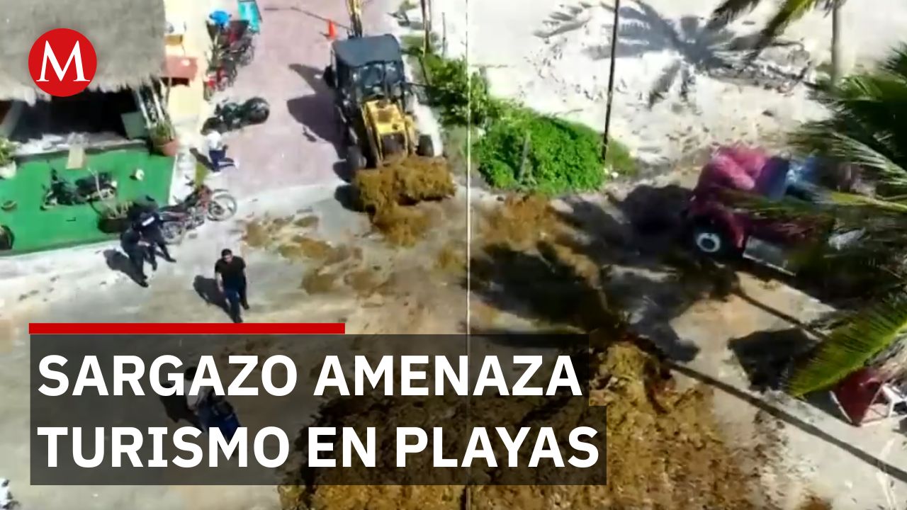Sargazo récord en Quintana Roo: llegada anticipada en enero afecta turismo y playas