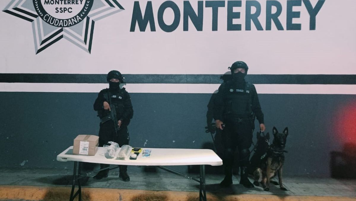 Unas cajas tenían como destino la ciudad de Tampico, Tamaulipas. Especial