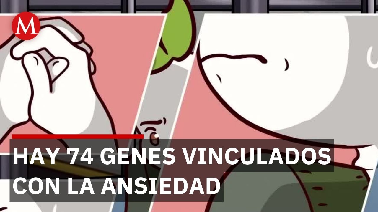 Hallan 74 genes vinculados a la ansiedad pero explican solo el 6% de las diferencias entre personas