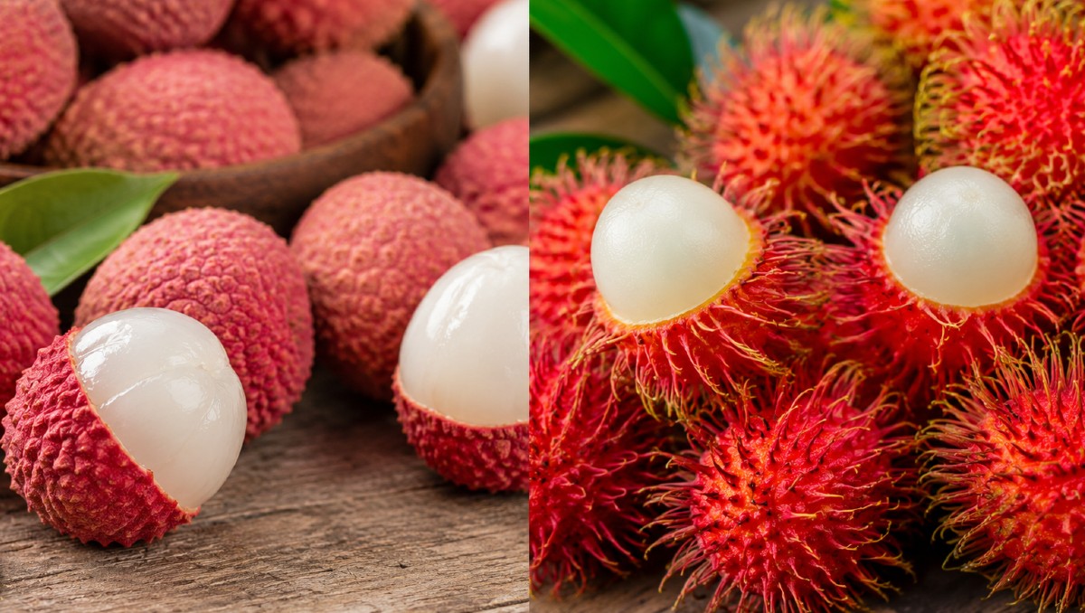 Diferencias entre frutas similares | IA DISCOVER