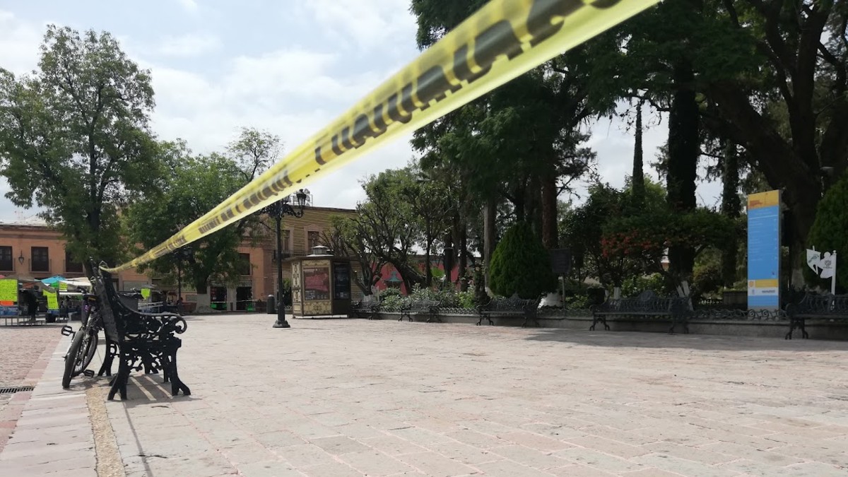 Además de la víctima mortal, al menos otras cuatro personas resultaron lesionadas por picaduras. | Archivo: Daniela Béjar.