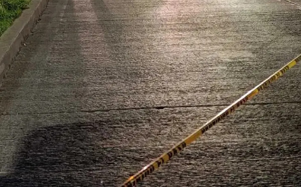 Un ocelote presuntamente cruzaba la carretera cuando fue atropellado cerca de Soto la Marina. | Archivo