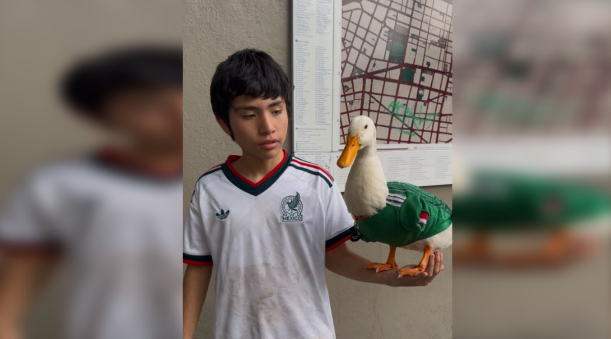 Se trata de un pato pekinés de apenas dos años de edad. (Foto: Sandra Argüelles)