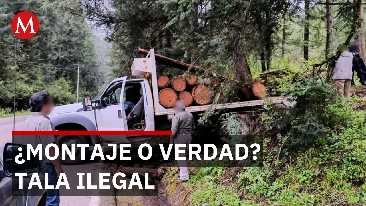 Pobladores queman camionetas de talamontes pero autoridades sospechan que fue un montaje