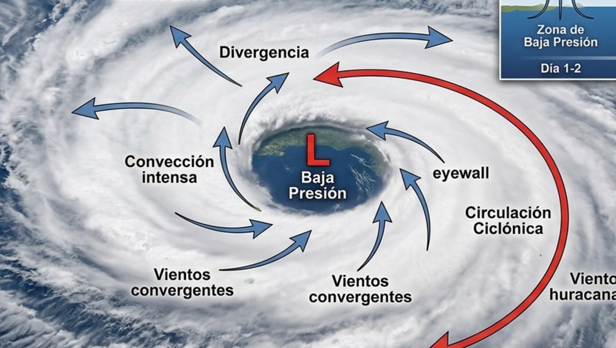 Una zona de Baja Presión puede tener posibilidades de desarrollo ciclónico | IA Discover