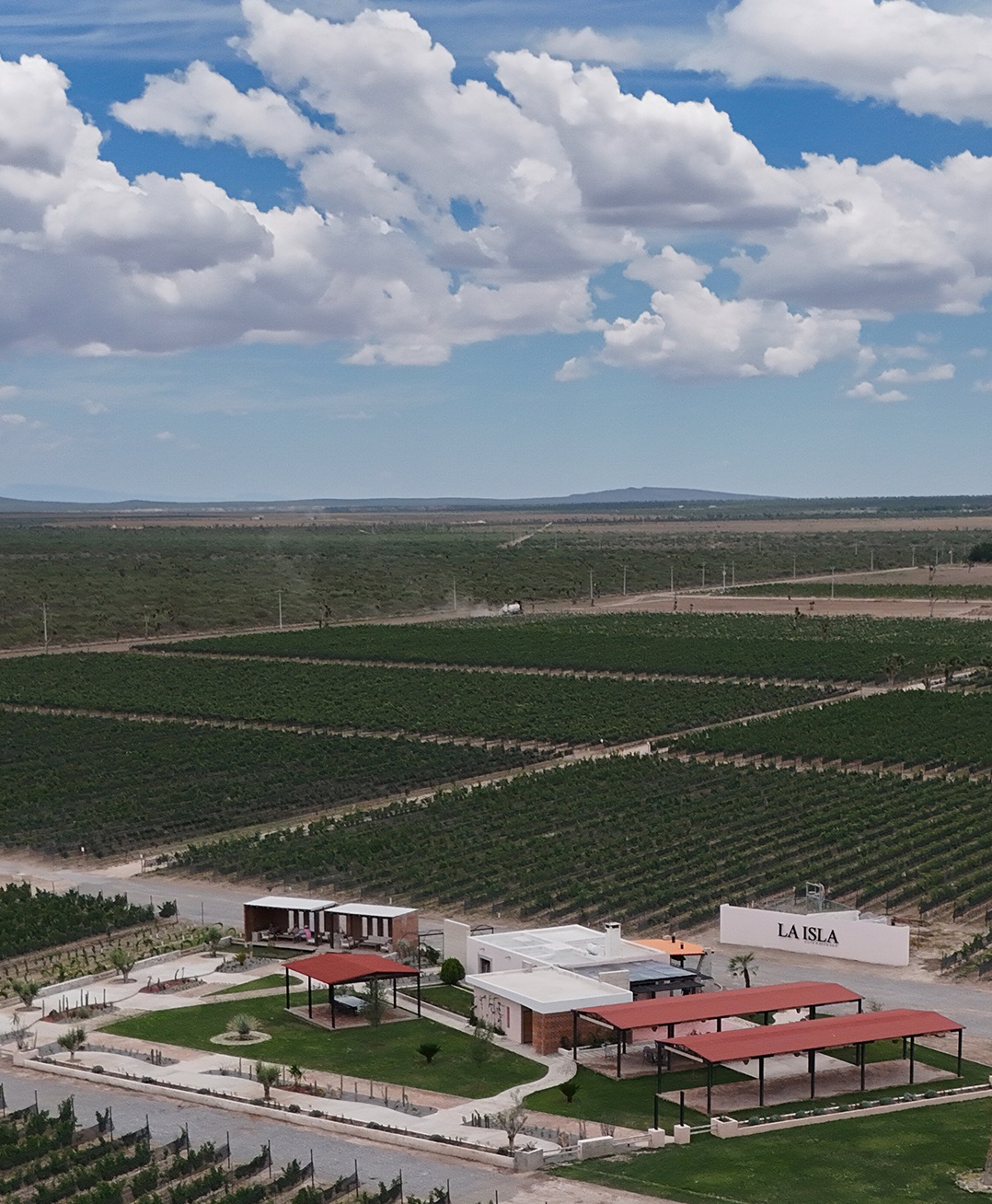 En cuarenta hectáreas se siembran nueve varietales. (Cortesía)
