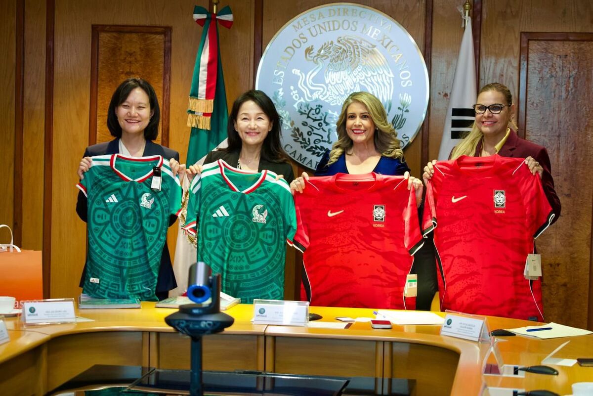 La diputada Rubio destacó la importancia de fortalecer los lazos de amistad y cooperación con Corea. | Foto: Especial