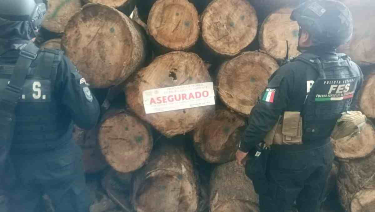 En un operativo conjunto, fueron asegurados más de 73 mil metros cúbicos de recurso forestal en Edomex. Foto: Especial