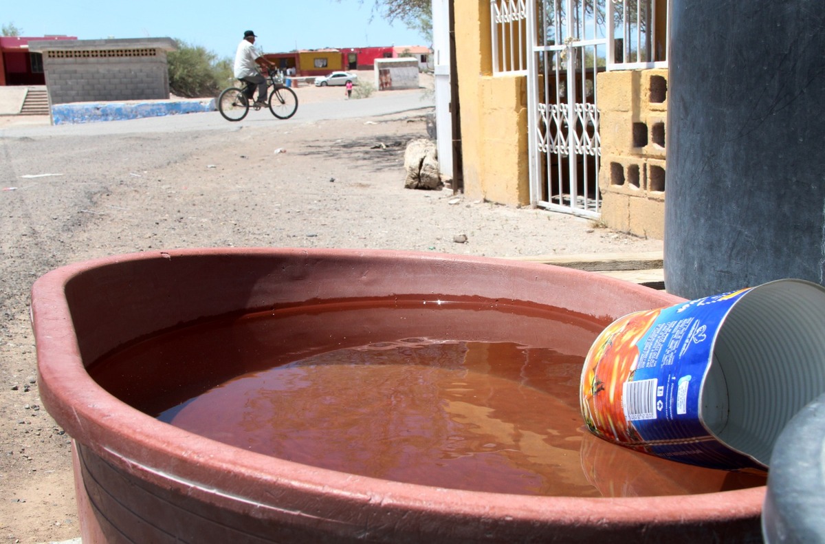 La población debe aceptar que existe más agua para las pequeñas propiedades donde se siembran forrajes. (Roberto Amaya)