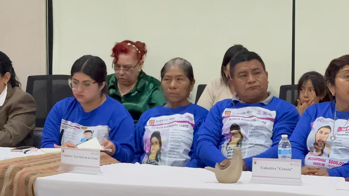 Tendrán que formar parte tres familiares de personas desaparecidas. | Foto: Captura de pantalla