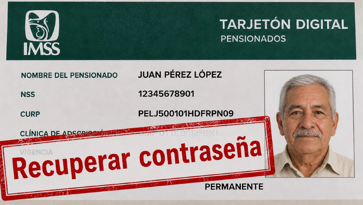 No pierdas los datos de ingreso para tu Tarjetón Digital del IMSS | IA DISCOVER