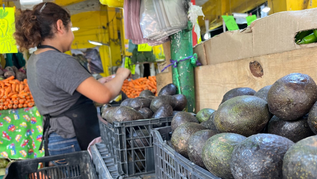 Precio del aguacate se dispara en Tampico por segunda vez en la semana