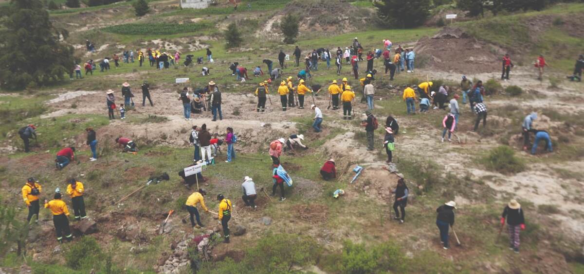 Se realizan esfuerzos para recuperar las zonas forestales dañadas en la entidad. Tania Contreras