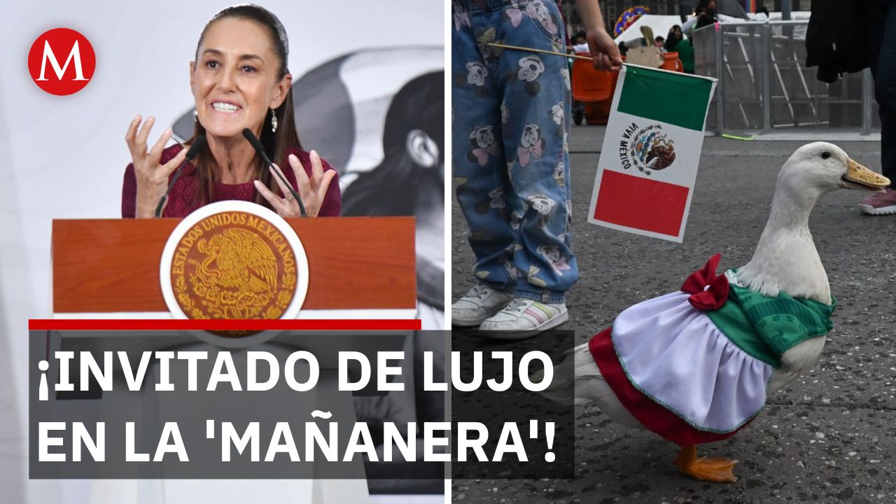 ¡Nadie lo esperaba! Sheinbaum invita al Pato Merlín a Palacio Nacional