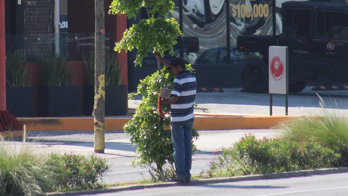 El intenso calor en el sur de Tamaulipas ha elevado el gasto familiar. (Yazmín Sánchez)