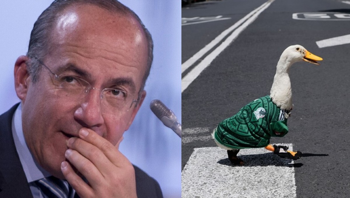 Calderón pidió dar regalías de la FIFA al Pato Merlín. | Foto: Especial
