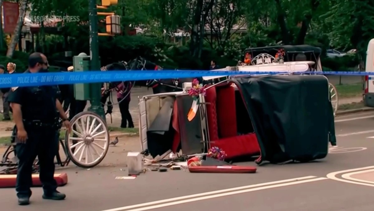 Celebraba su graduación: turista muere tras caer de un carruaje en Central Park. | FOTO: AP