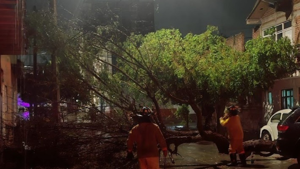 León registra afectaciones en distintos puntos  tras fuertes lluvias | Protección Civil