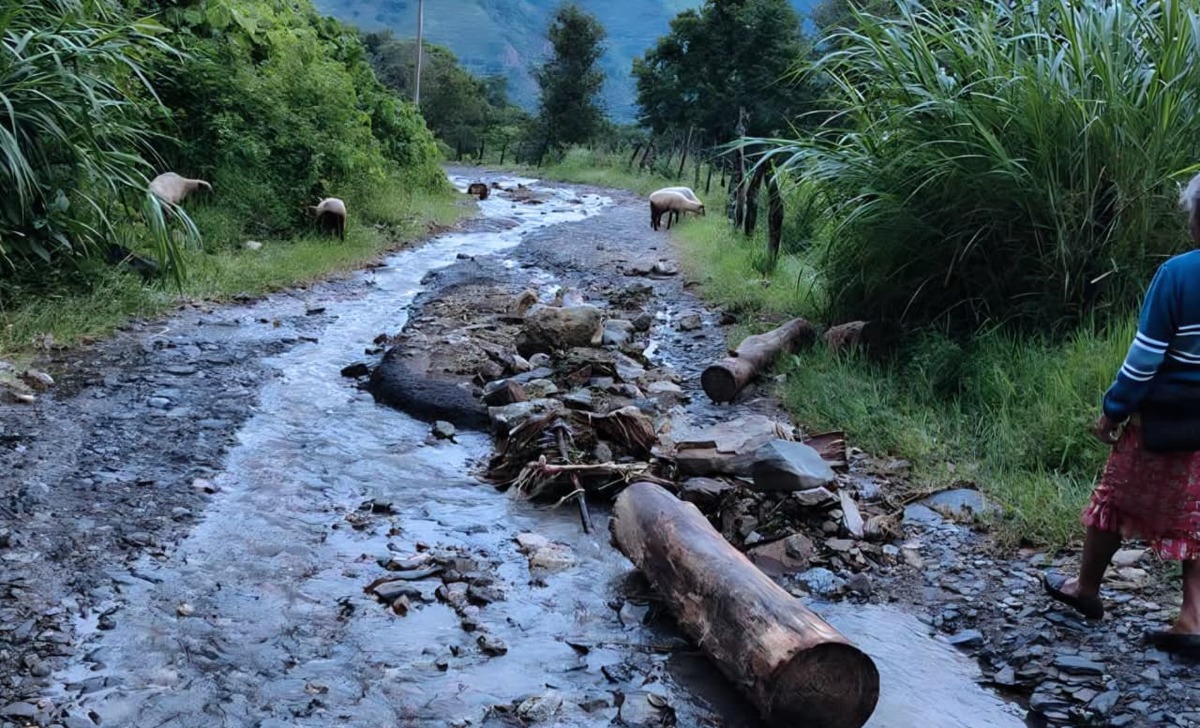 Lluvias provocaron derrumbes y deslizamientos de tierra. (Cortesía)