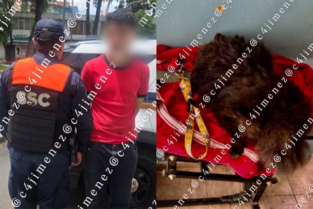 El dueño aseguró que en menos de una hora, su perro Coco estaba muerto.