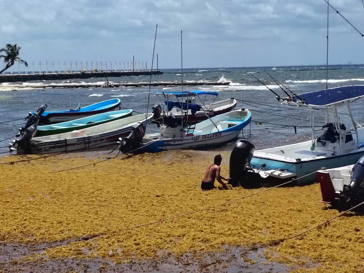 Avances asesinato Ximena y José