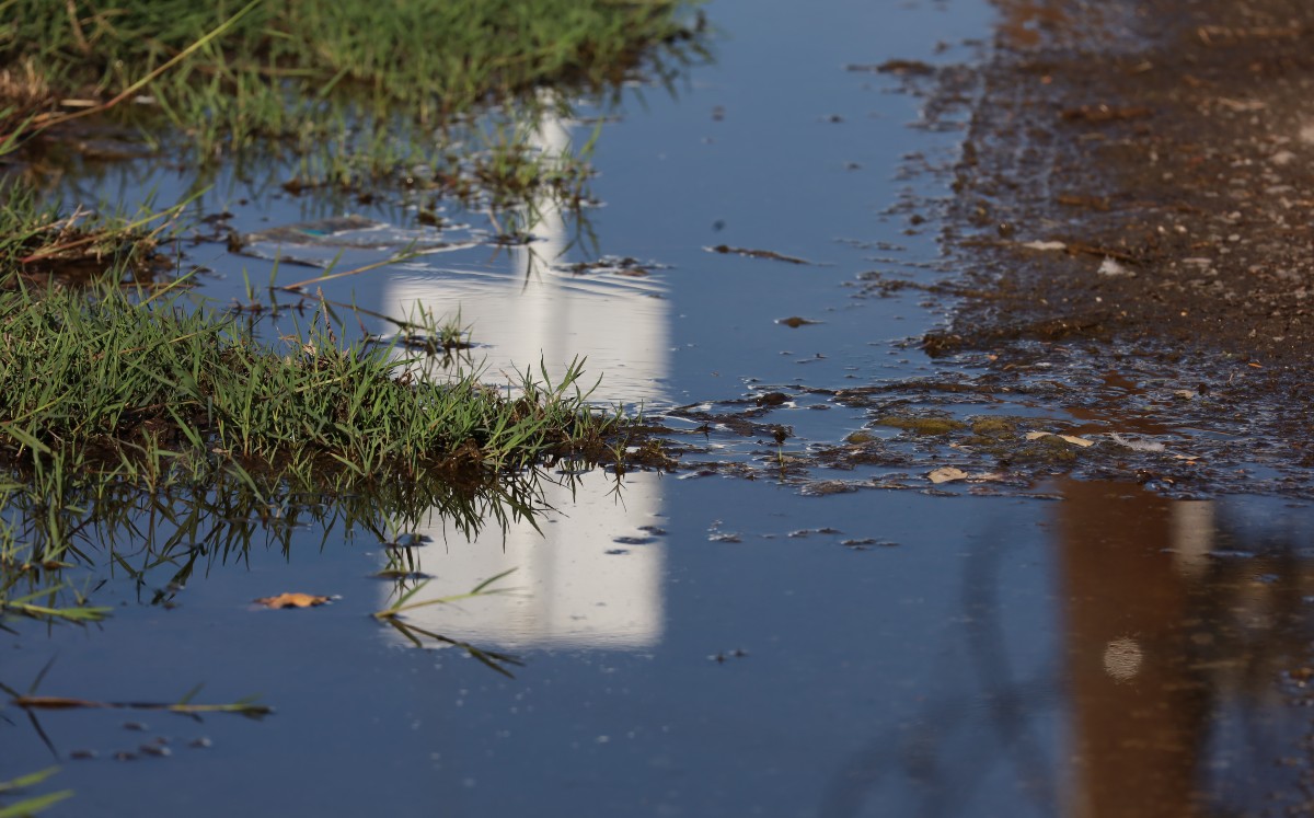 Ante las recientes lluvias se realizan acciones para evitar proliferación del mosco transmisor del dengue | Archivo Verónica Rivera