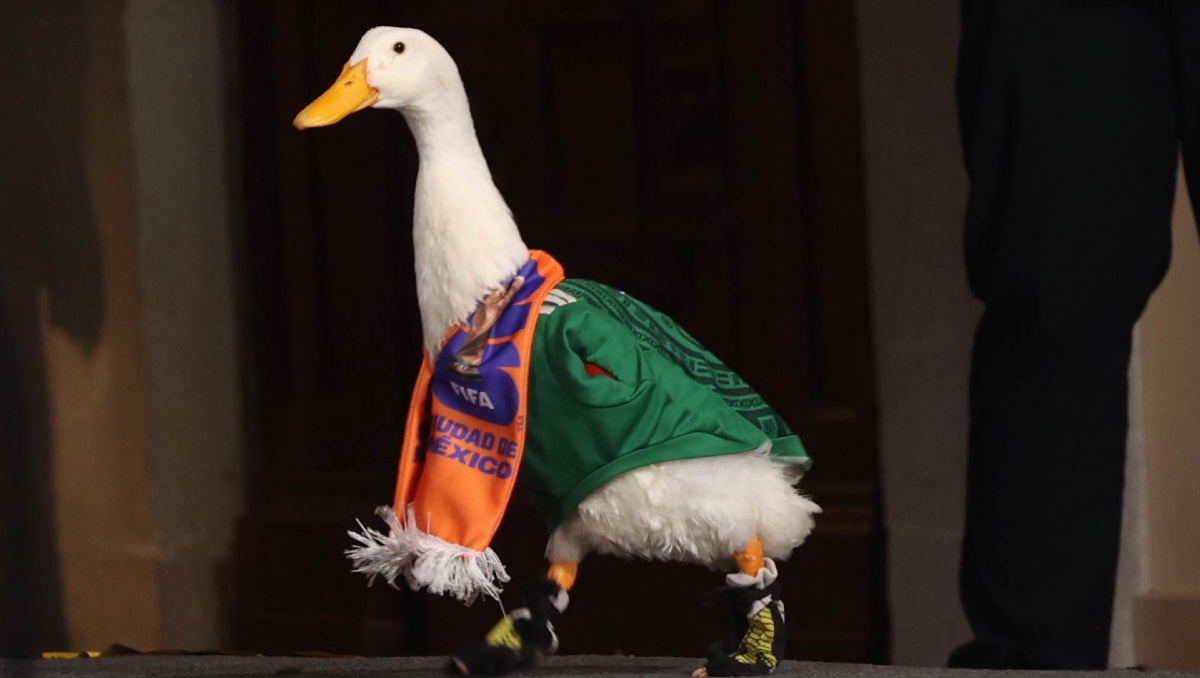 Cómo registrar una marca ante el IMPI como la del Pato Merlín | CUARTOSCURO