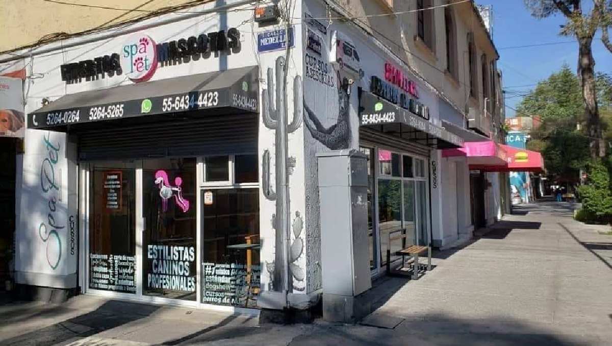 Spa Pet declaraba ser una estética canina profesional que evitaba el estrés de la mascotas. | Foto: RRSS (Spa Pet)