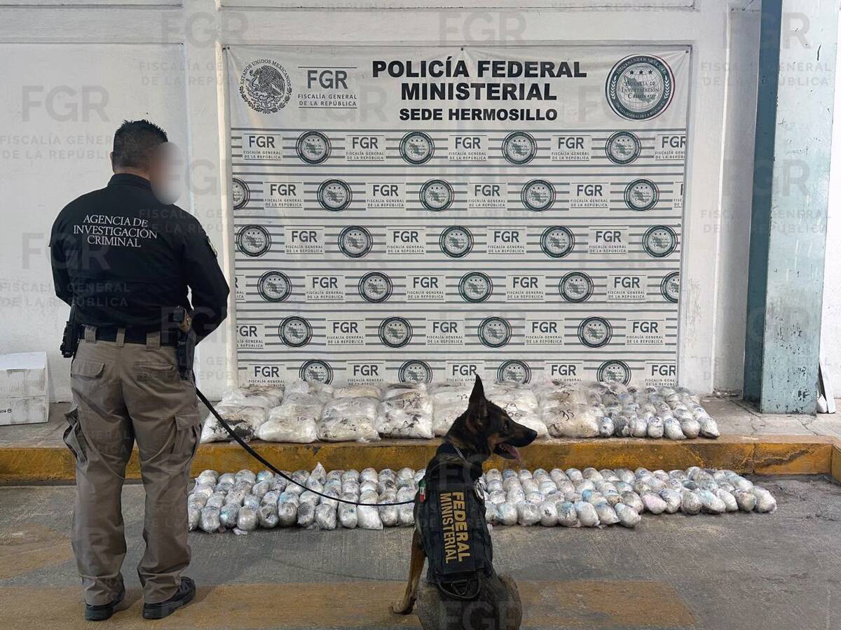 El aseguramiento ocurrió el pasado 16 de junio. | Especial
