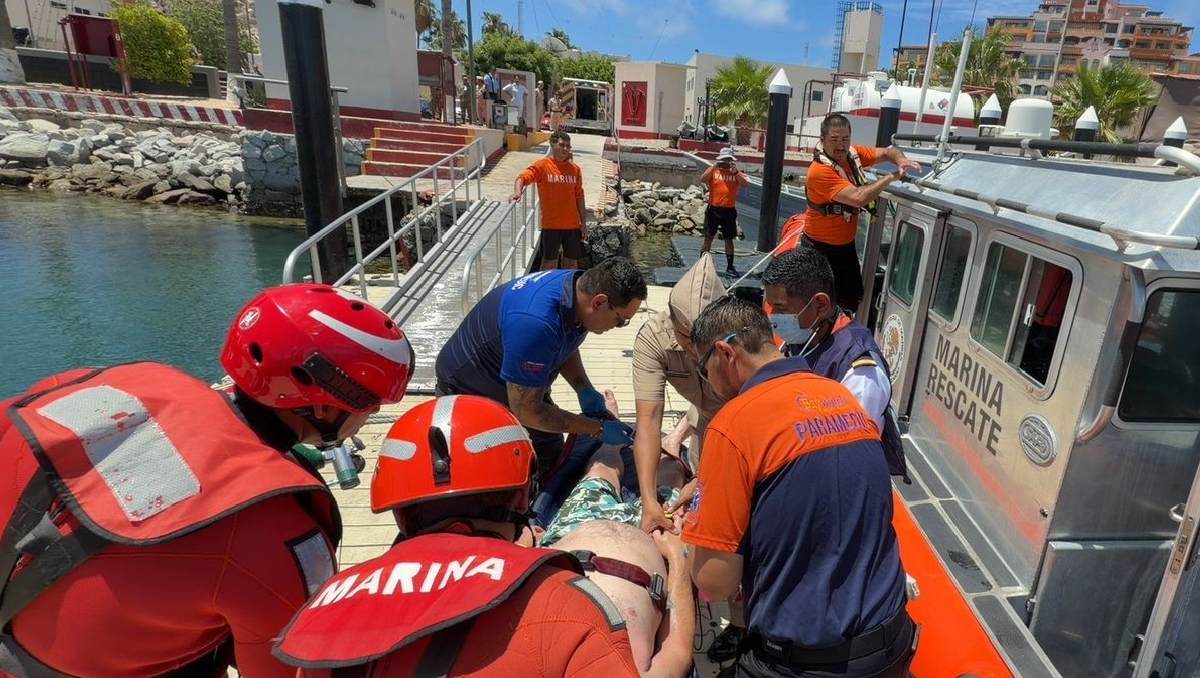 Turistas reciben apoyo tras ser picados por medusa en BC