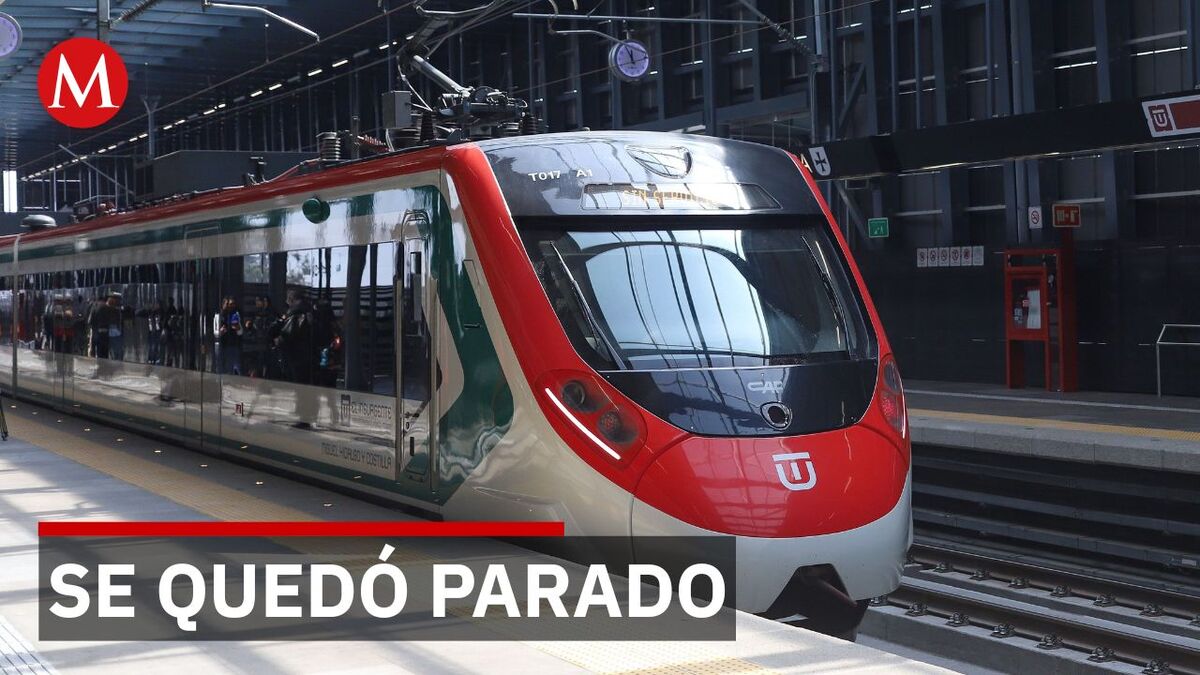 Falla eléctrica detiene tramo del Tren Insurgente