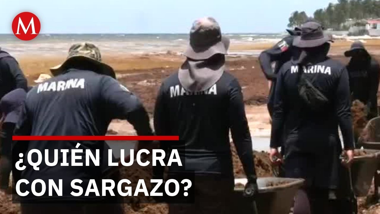 Tulum enfrenta invasión de sargazo mientras gobierno extorsiona en lugar de limpiar