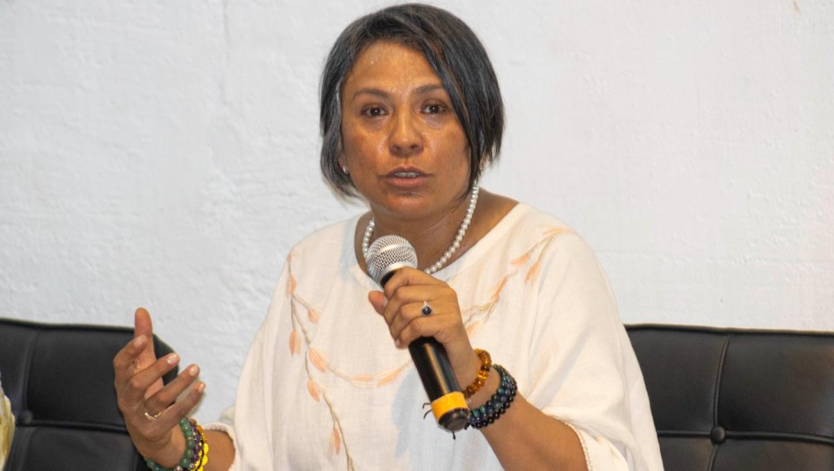 La consejera del INE, Norma Irene de la Cruz Magaña, señaló que las quejas de Morena siguen en proceso de resolución (Tomada de x.com/NormaIreneD)