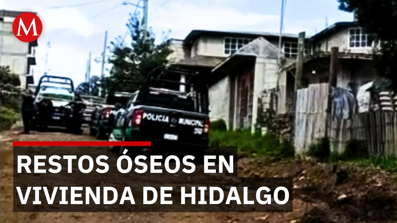 Encuentran restos óseos en cateo de Hidalgo que podría esclarecer una desaparición en Tulancingo