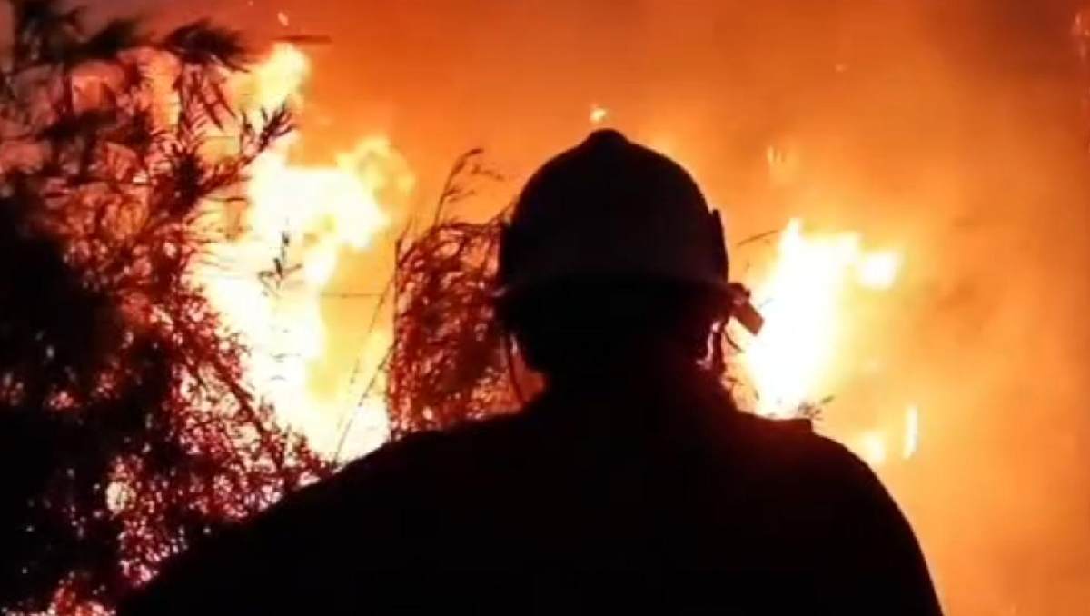 Incendio provocado en Baja California Sur. | Especial