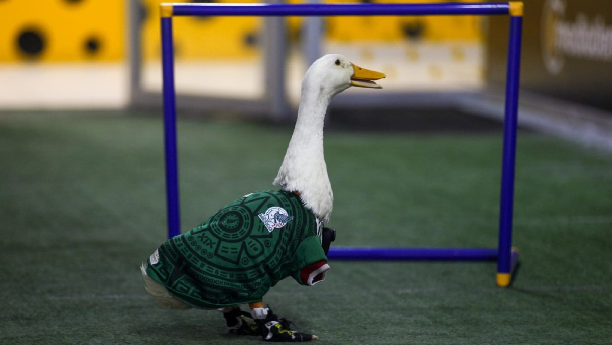 La marca "Pato Merlín" pertenece a la familia de Karla Ivette Gómez. | Foto: Araceli López