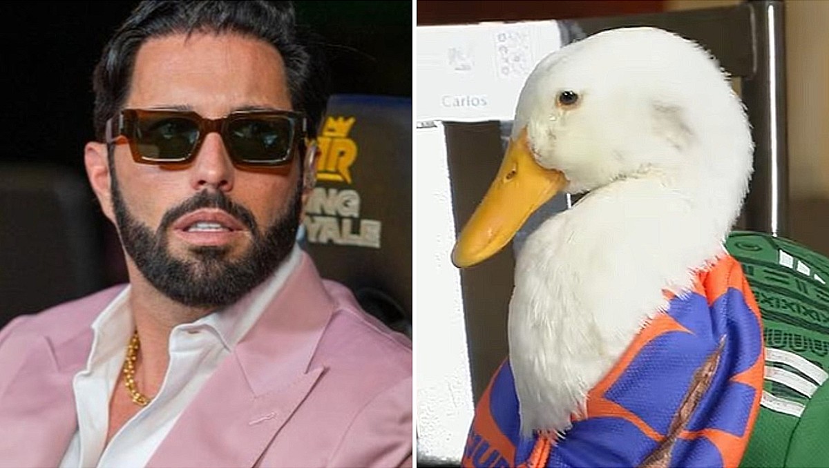Poncho de Nigris ofrece más de medio millón de pesos por el Pato Merlín (IG // La Mañanera)
