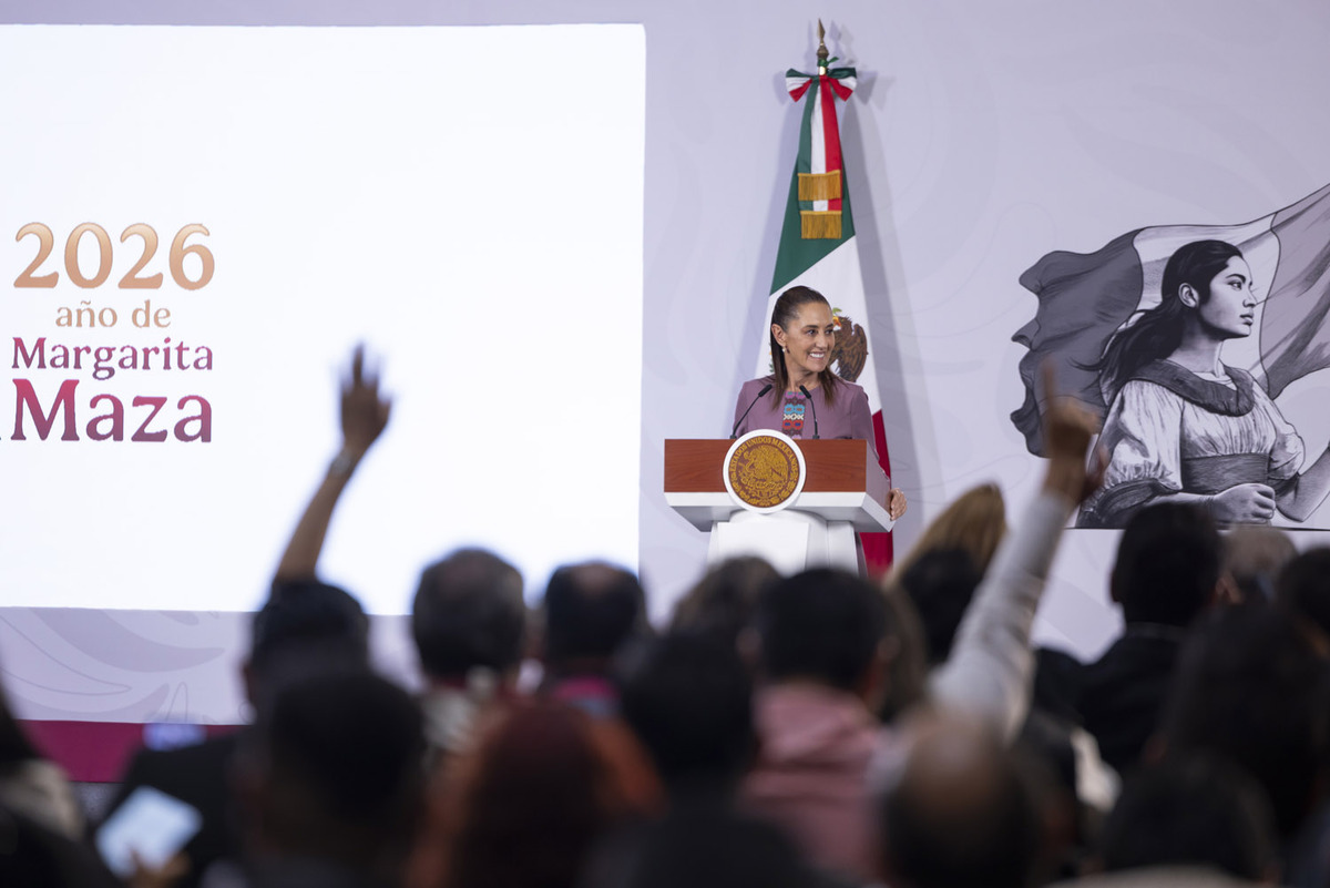 La Presidenta aseguró que las fallas son por la distribución de energía y no por la producción. | Foto: Presidencia