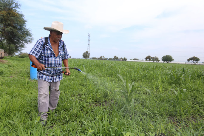 El programa de Comercialización Agropecuaria ha tenido alcance en distintos municipios de la entidad. | Dany Béjar