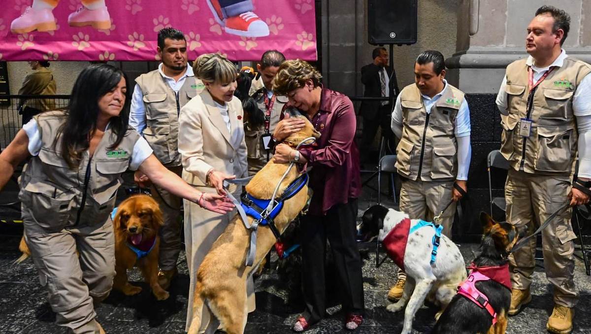 Acciones de apoyo y protección a animales en el Estado de México. | Especial