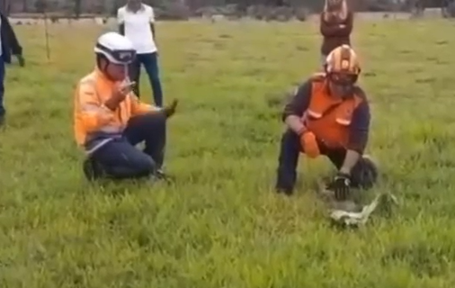 Autoridades de Protección Civil aseguraron un cocodrilo de 1.20 metros en el pueblo de Córdoba, Veracruz. | Especial