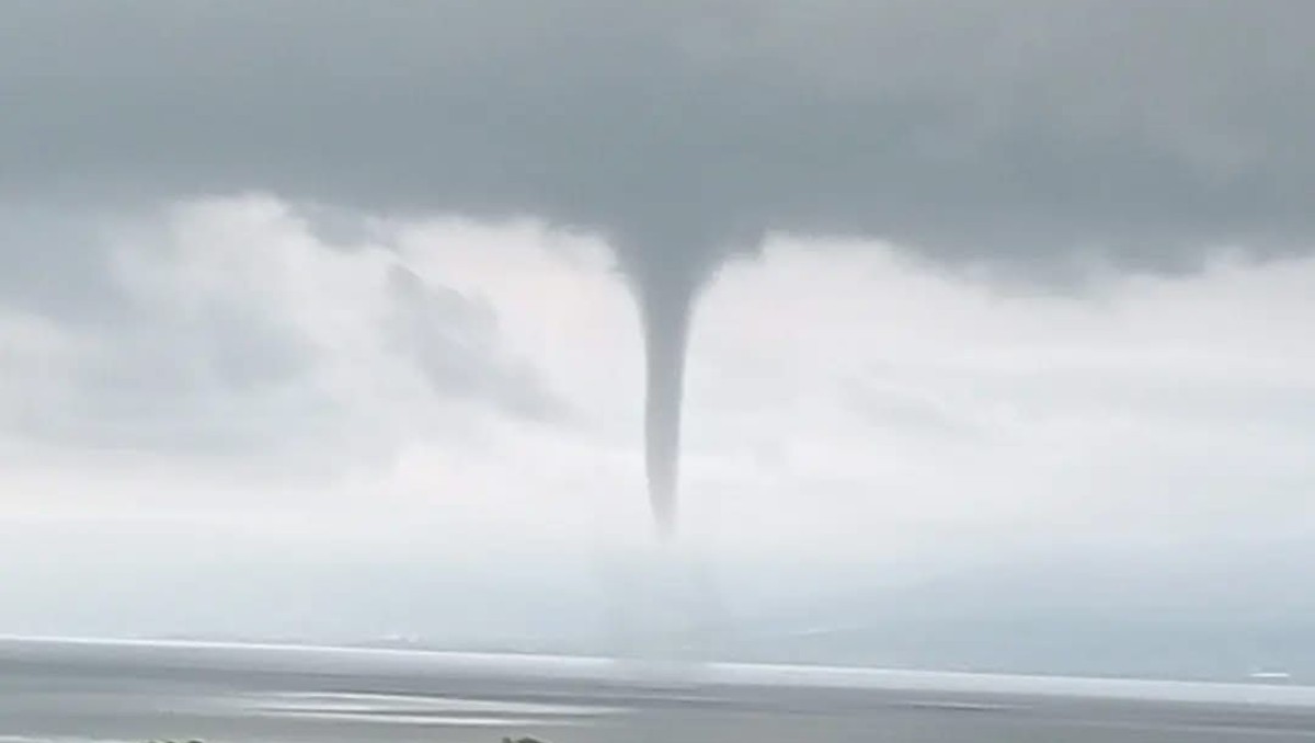 Una culebra de agua fue captada en video en el Lago de Chapala en Jalisco este jueves (Tomada de x.com/PCJalisco)