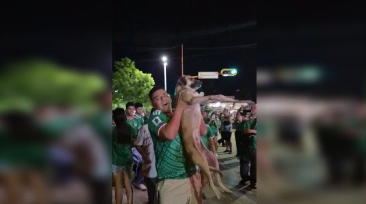 Una familia perdió a su mascota, tras ello, comenzó una intensa búsqueda, sin embargo, no hubo éxito para encontrarla.(Foto: especial)