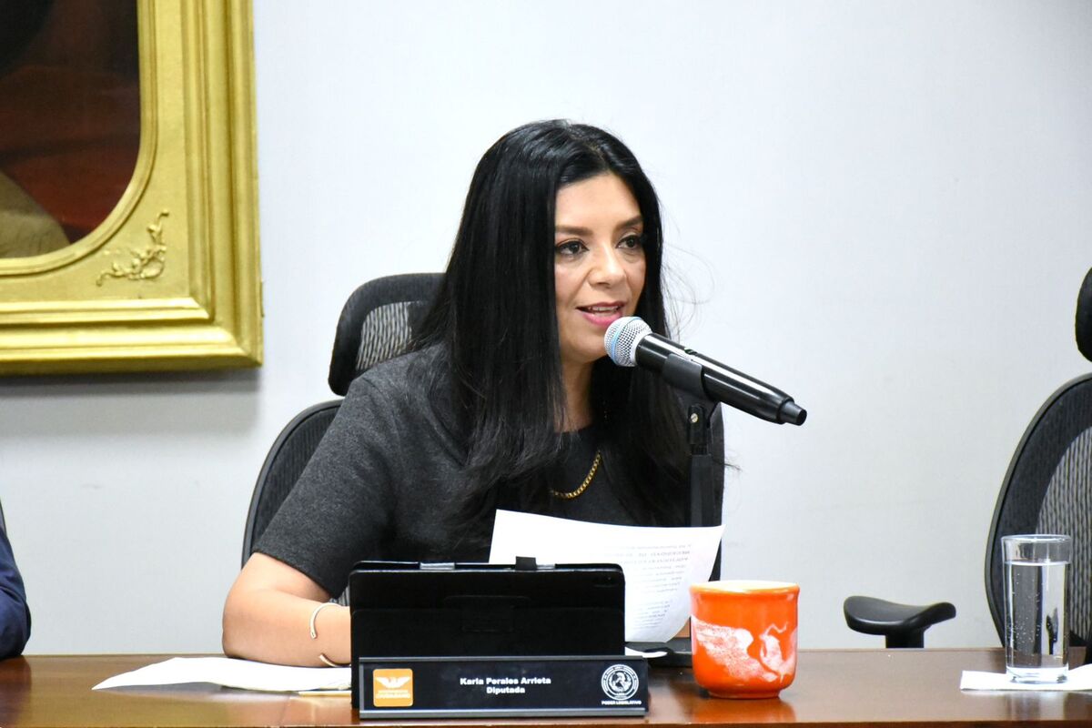Karla Perales, diputada de Movimiento Ciudadano. (Cortesía)