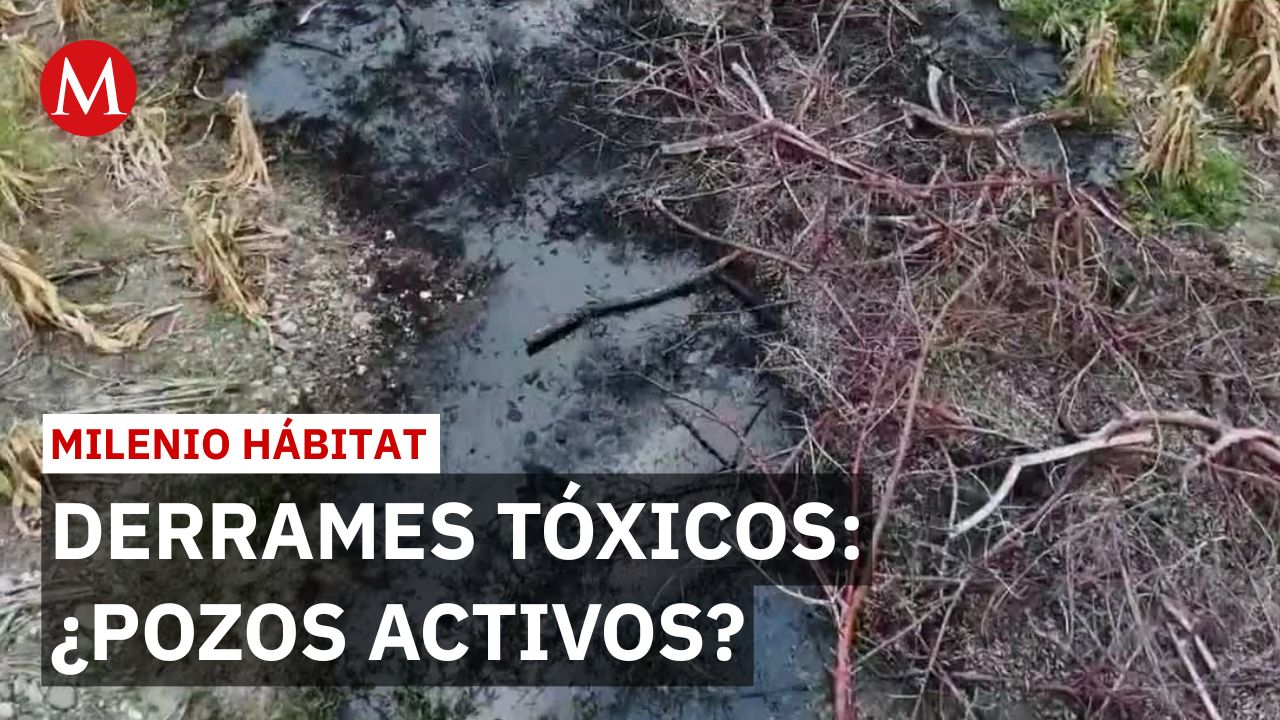 Pozos inactivos de Pemex contaminan comunidades de Veracruz | Milenio Hábitat