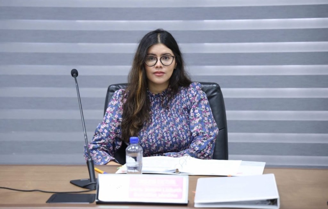 El INE designó a Selene González como presidenta provisional del IEM tras la remoción en masa de cinco consejeros. | Especial