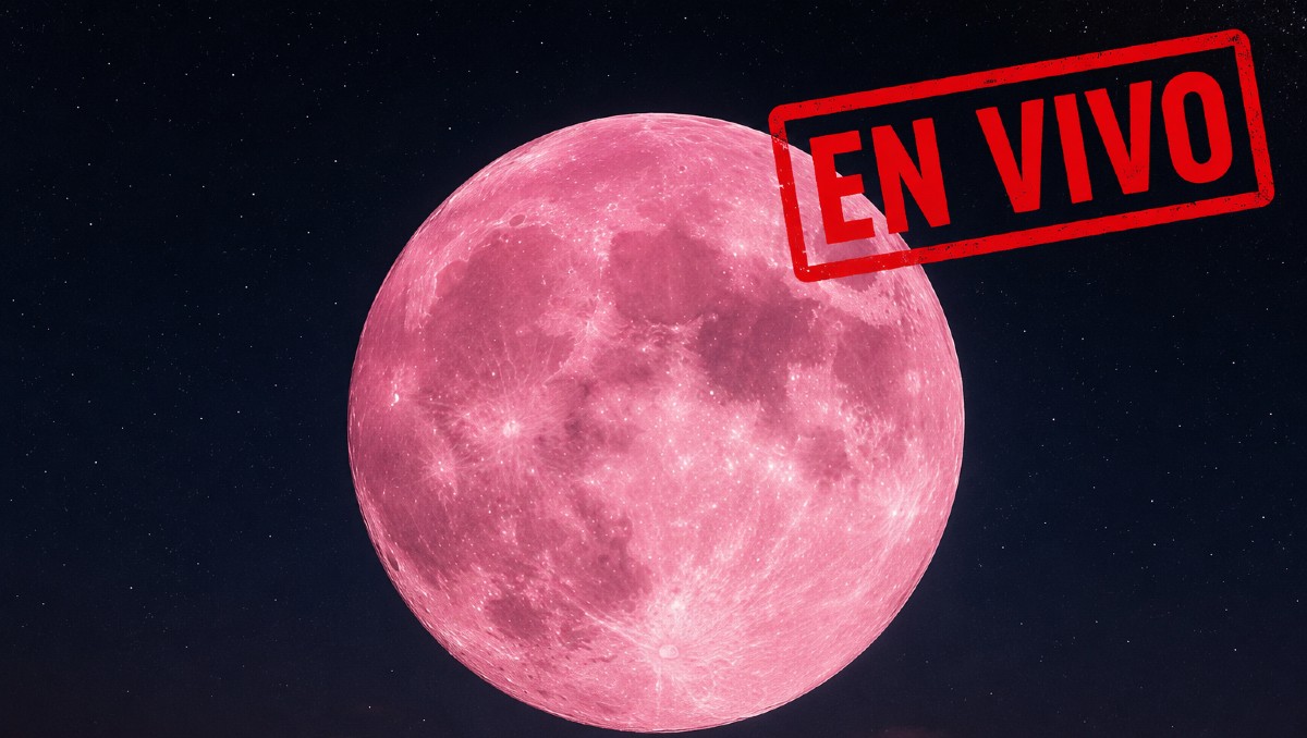 Luna de Fresa: así puedes verla en vivo | IA DISCOVER
