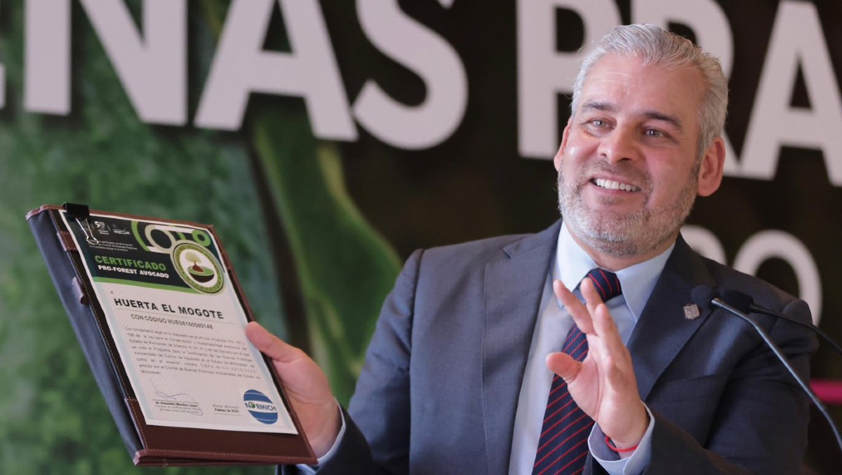 ONGs de EU exigen supermercados comprar solo aguacate certificado. | Foto: Especial