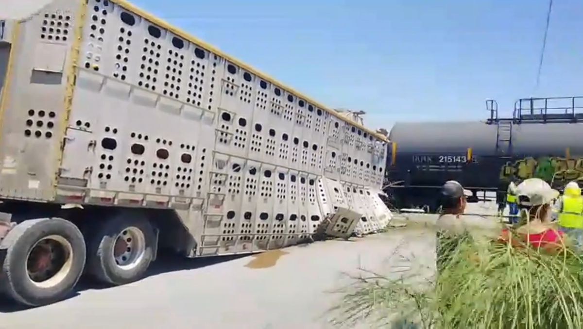 El conductor del tráiler resultó ileso. | Especial